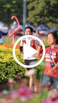 BIB:  <button type="button" onclick="openModal(27588605)" class="btn btn-primary btn-sm float-right" data-toggle="modal" data-target=".modal-high-quality">
                <i class="fa fa-download"></i> Download
                </button>